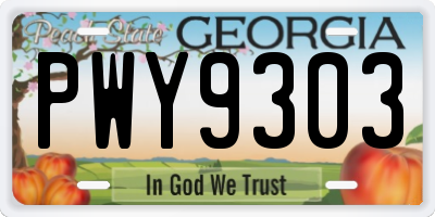GA license plate PWY9303