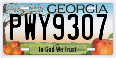 GA license plate PWY9307