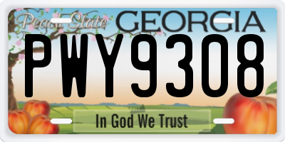 GA license plate PWY9308