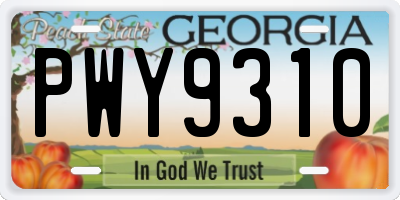GA license plate PWY9310