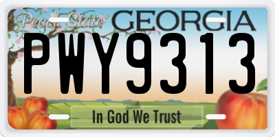 GA license plate PWY9313