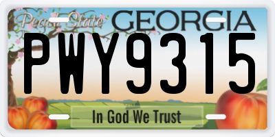 GA license plate PWY9315