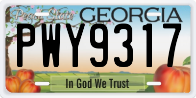 GA license plate PWY9317