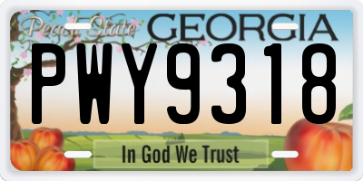 GA license plate PWY9318