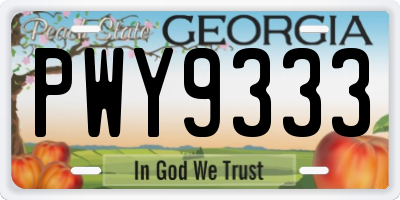 GA license plate PWY9333