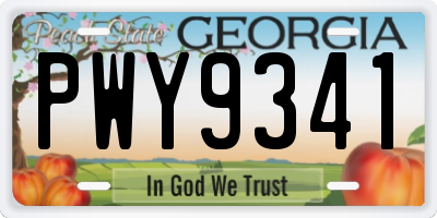 GA license plate PWY9341