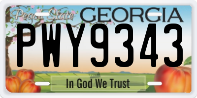 GA license plate PWY9343