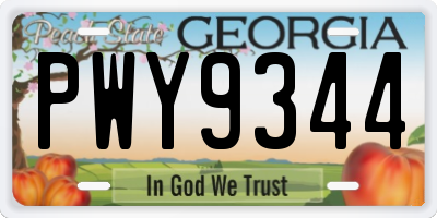 GA license plate PWY9344