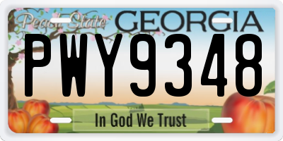 GA license plate PWY9348