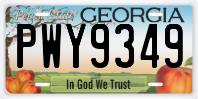 GA license plate PWY9349