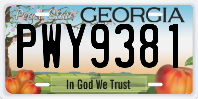 GA license plate PWY9381