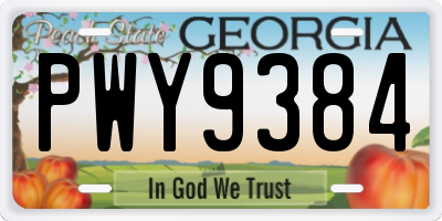 GA license plate PWY9384