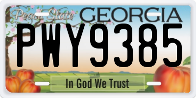 GA license plate PWY9385