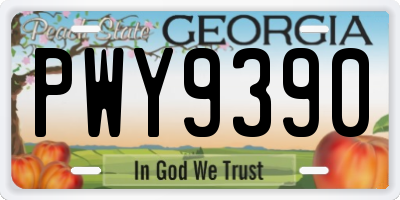 GA license plate PWY9390
