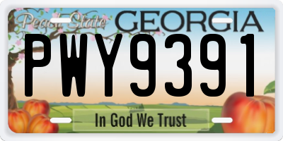GA license plate PWY9391