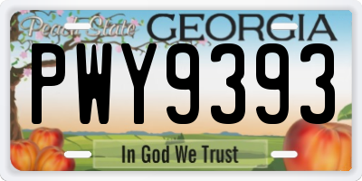GA license plate PWY9393