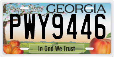 GA license plate PWY9446