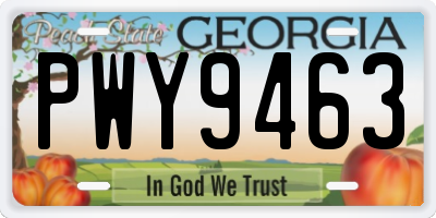 GA license plate PWY9463