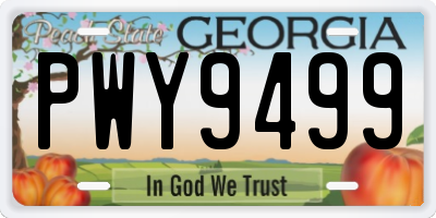 GA license plate PWY9499