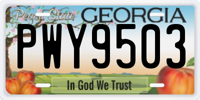 GA license plate PWY9503