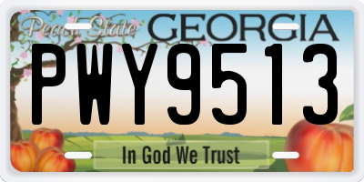 GA license plate PWY9513