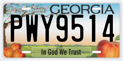GA license plate PWY9514