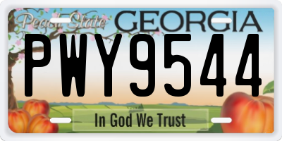 GA license plate PWY9544