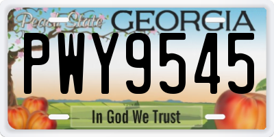 GA license plate PWY9545