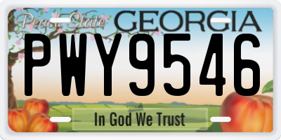 GA license plate PWY9546