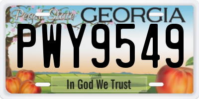 GA license plate PWY9549