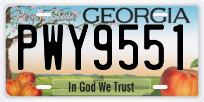 GA license plate PWY9551