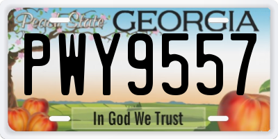 GA license plate PWY9557