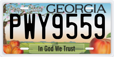 GA license plate PWY9559