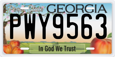 GA license plate PWY9563