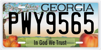 GA license plate PWY9565