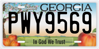 GA license plate PWY9569
