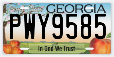 GA license plate PWY9585