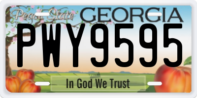 GA license plate PWY9595
