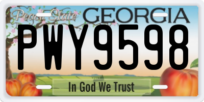 GA license plate PWY9598