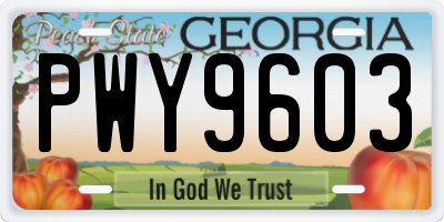GA license plate PWY9603