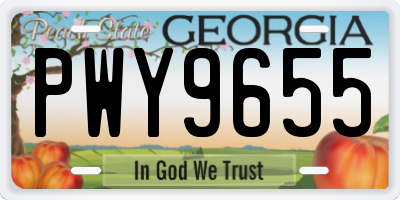 GA license plate PWY9655
