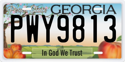 GA license plate PWY9813