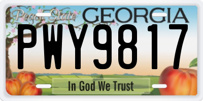 GA license plate PWY9817