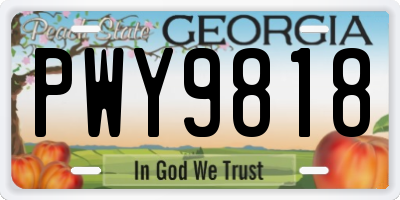 GA license plate PWY9818