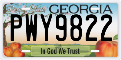 GA license plate PWY9822