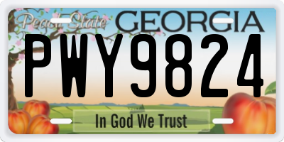 GA license plate PWY9824