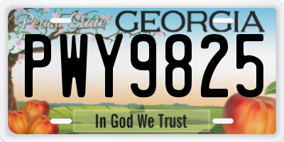 GA license plate PWY9825