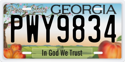 GA license plate PWY9834