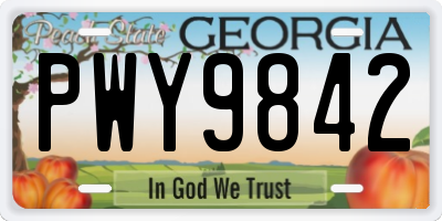GA license plate PWY9842