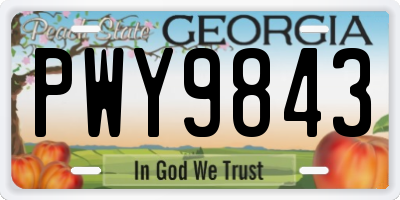 GA license plate PWY9843